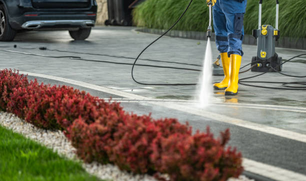 Best Fence Cleaning  in Port Morris, NJ